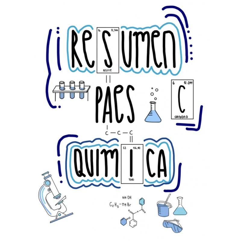 libro resumen paes química